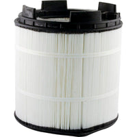 Pentair Sta-Rite System:3 Replacement Cartridge - 259 Sq Ft (25022-0203S)