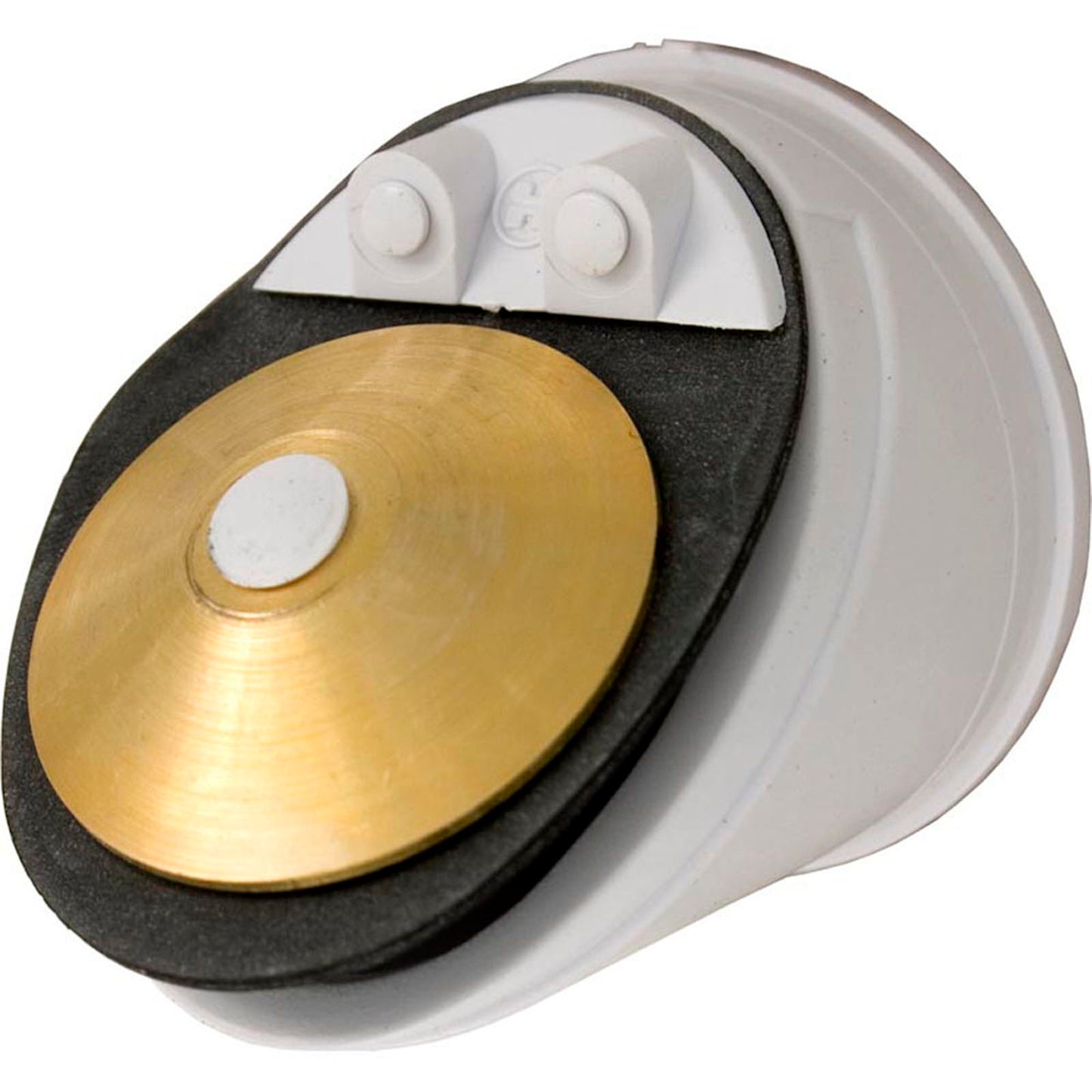 Check Valve, Hayward Star-Clear/Perflex/ASL/RegenX