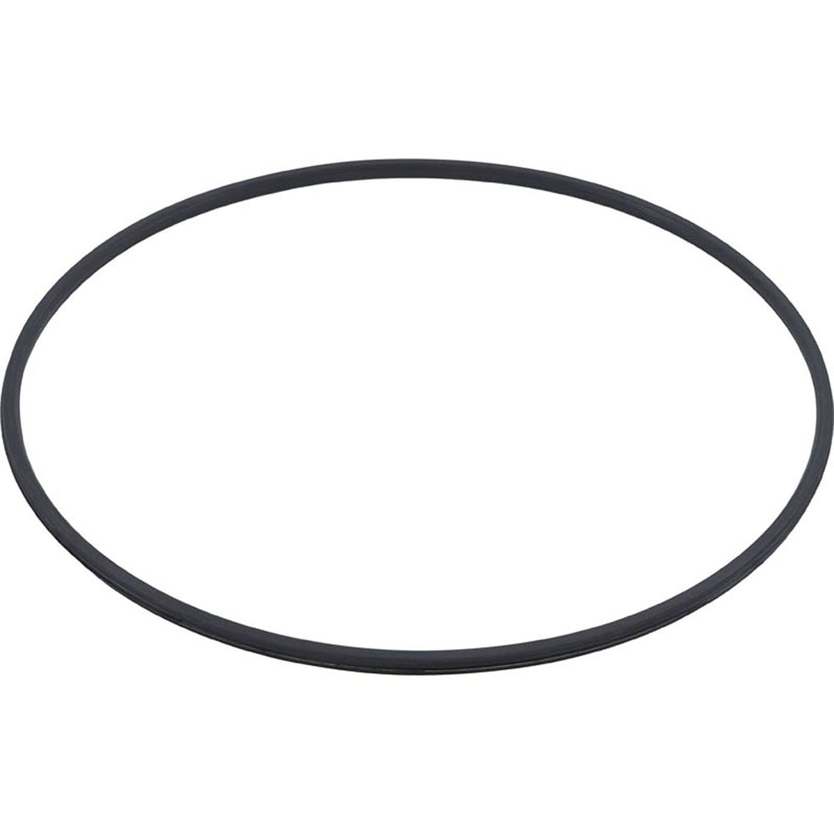 Tank Lid, Hayward C3020/C3025/DE3620, with Clamp Ring