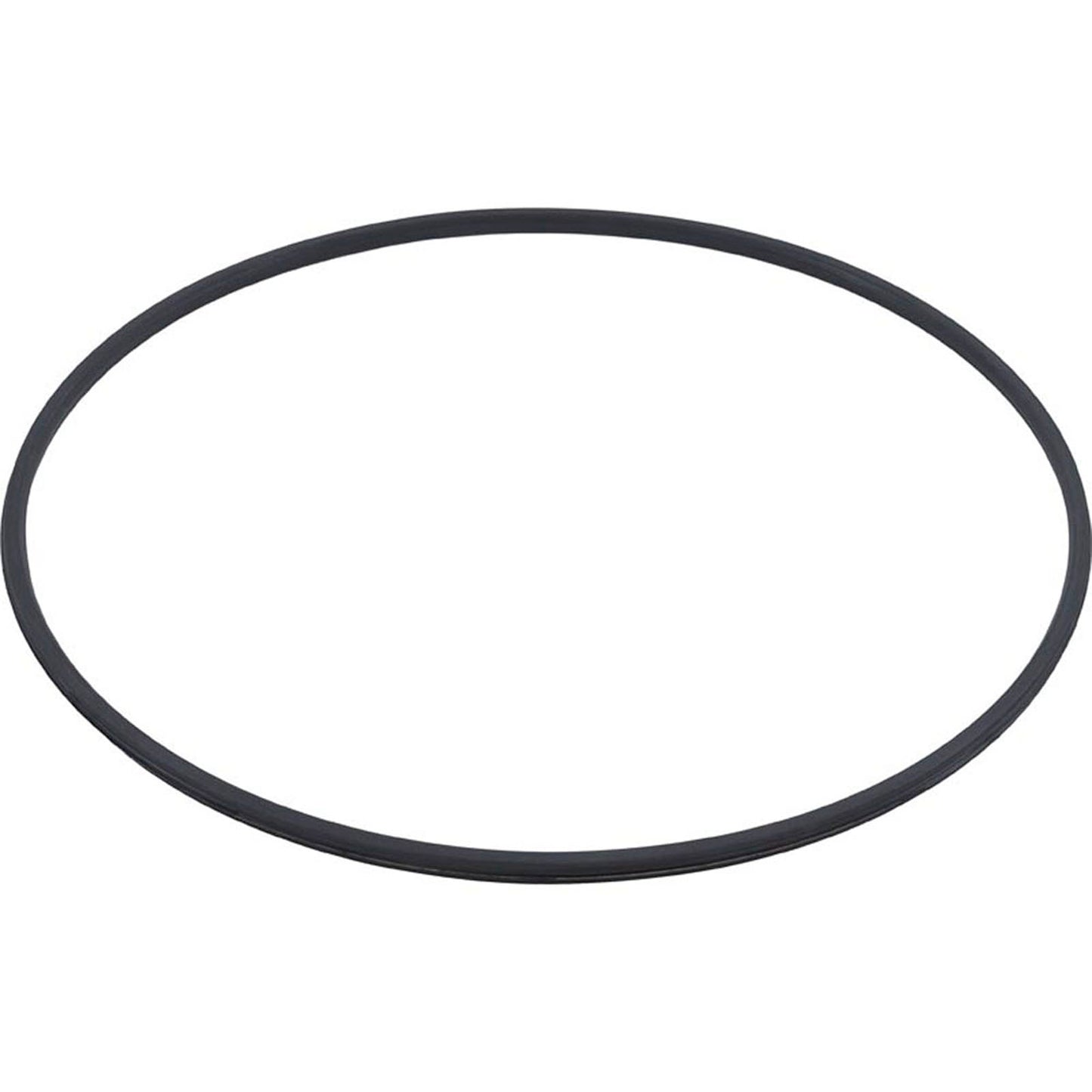 Tank Lid, Hayward C3020/C3025/DE3620, with Clamp Ring