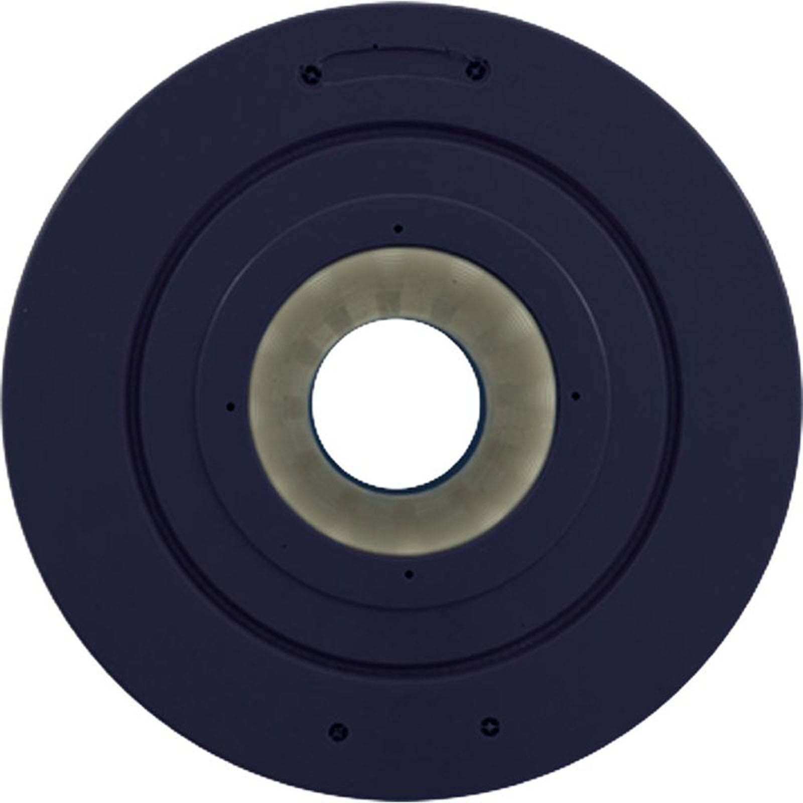 Pentair Pac-Fab Mytilus FMY / Pac-Fab Mytilus Replacement Cartridge - 100 Sq Ft (PC-1950)