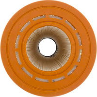 Pentair Sta-Rite Posi-Flo II Replacement Cartridge - 137 Sq Ft (PC-2570)