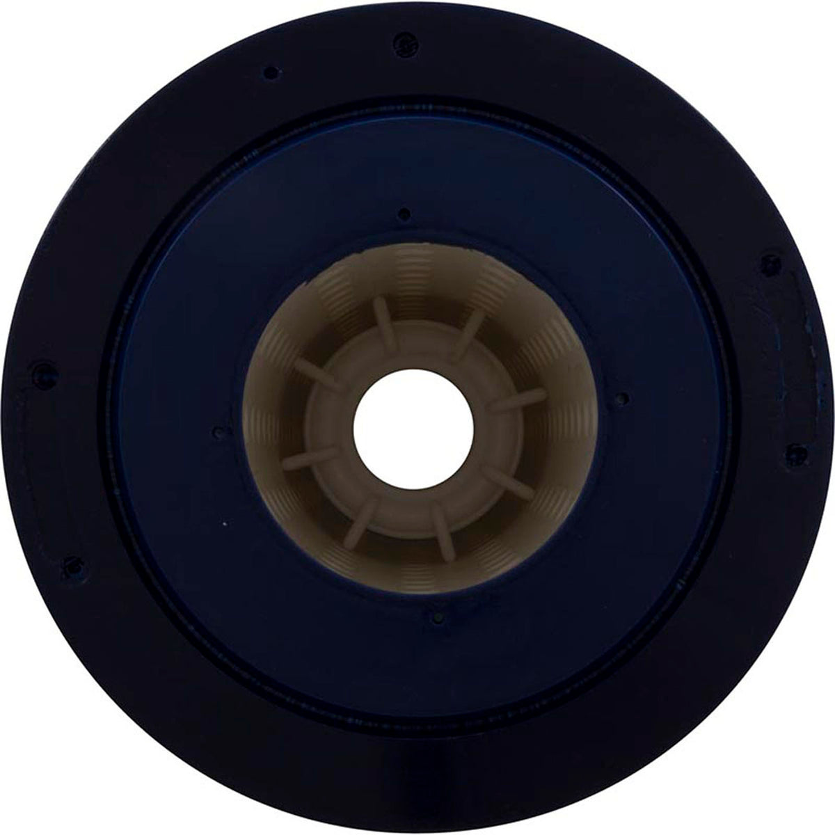 Pentair Clean & Clear Plus Replacement Cartridge - 60 Sq Ft (PC-1975)