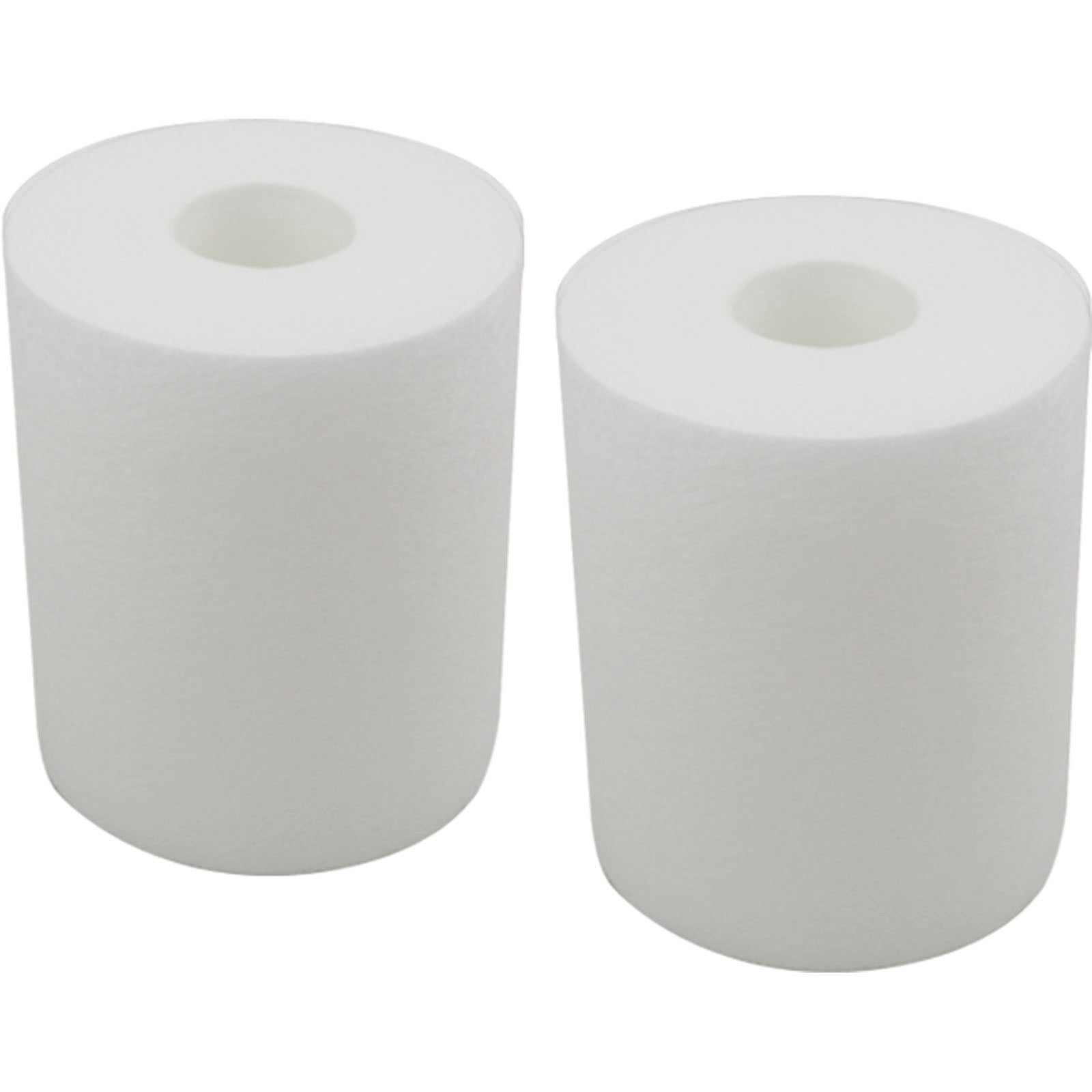 FC-3751 Replacement Pool Filter Cartridge - 2 Sq Ft