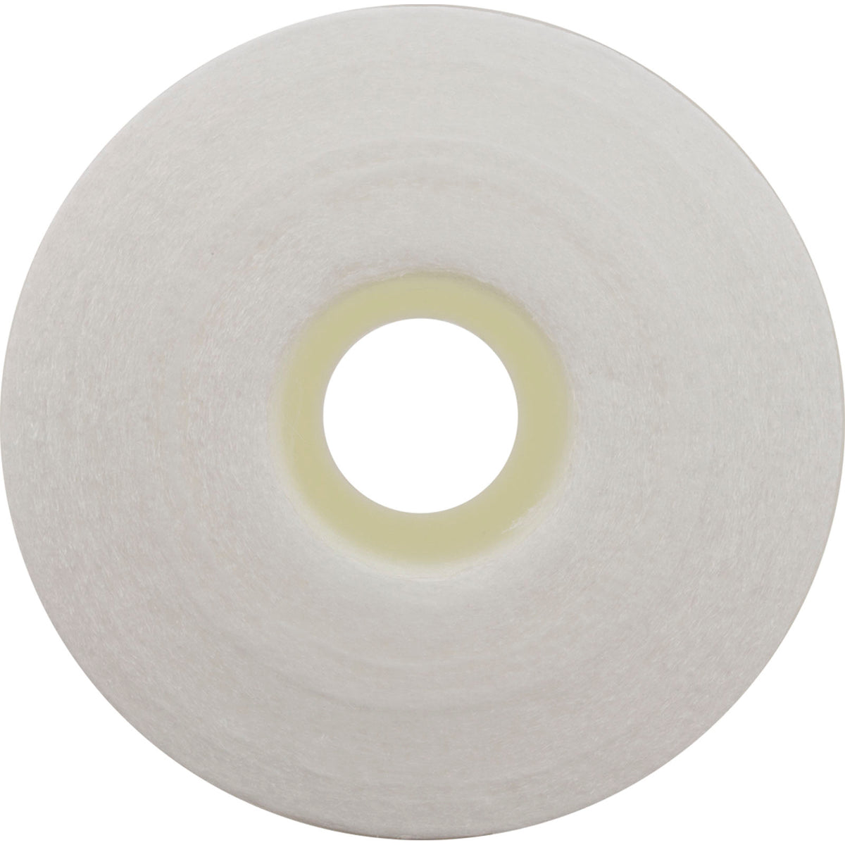 FC-3751 Replacement Pool Filter Cartridge - 2 Sq Ft