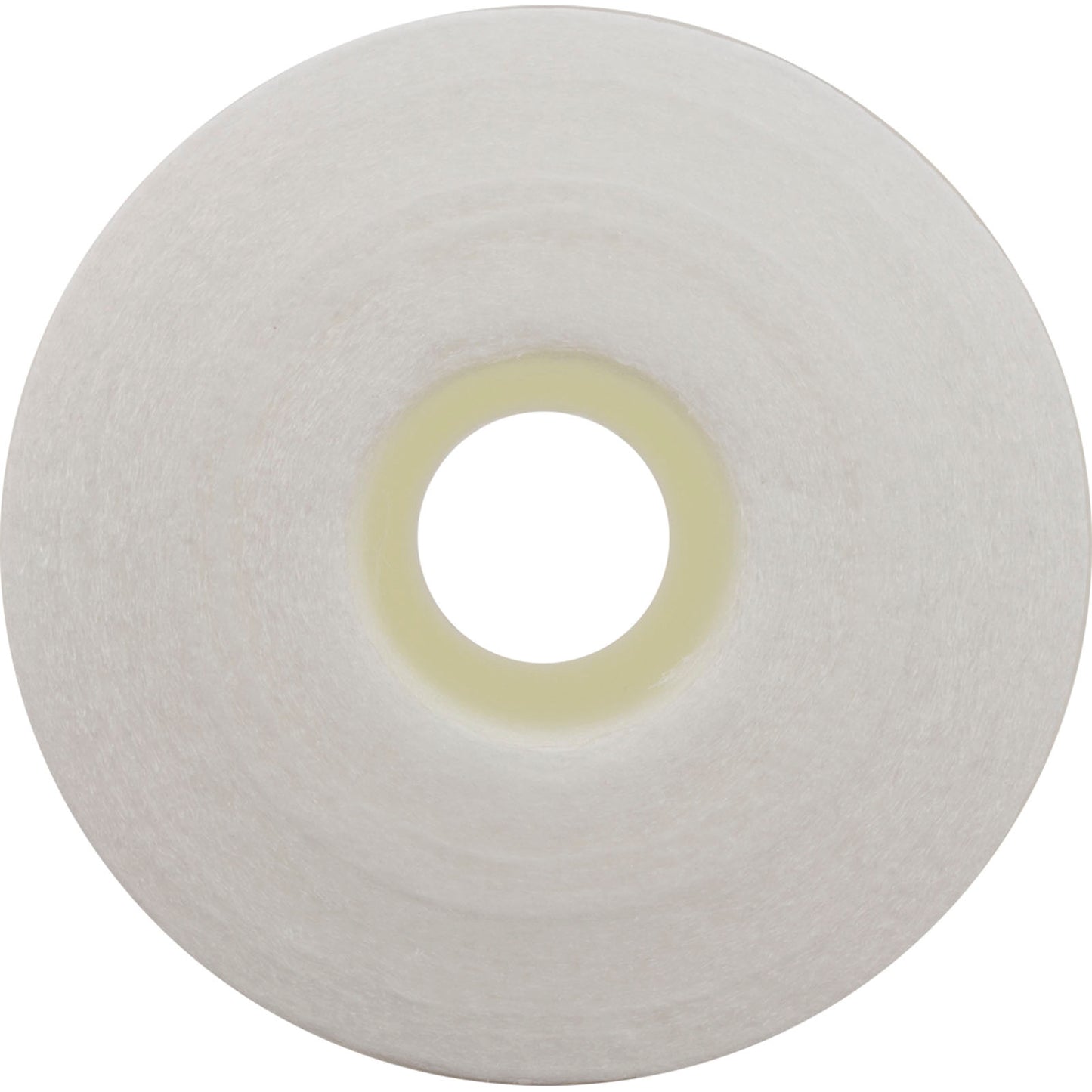 FC-3751 Replacement Pool Filter Cartridge - 2 Sq Ft
