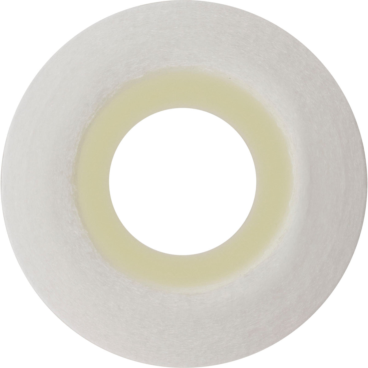 FC-3753 Replacement Pool Filter Cartridge - 4 Sq Ft