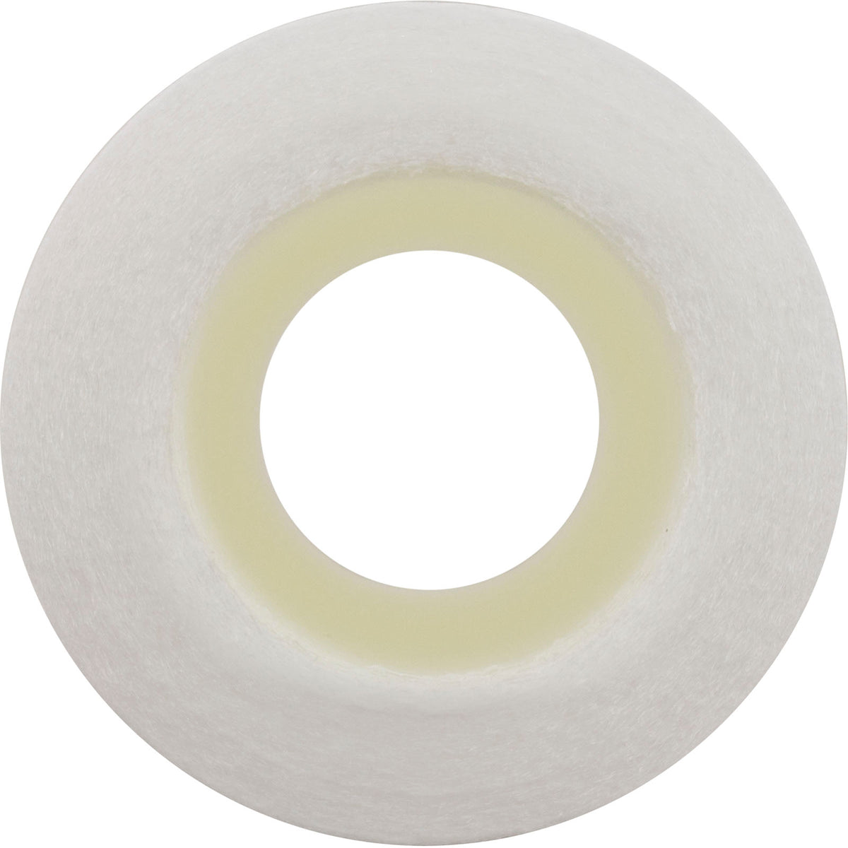 FC-3753 Replacement Pool Filter Cartridge - 4 Sq Ft