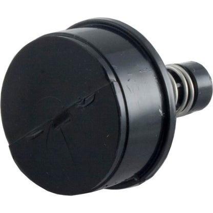 Bypass Plug, Pentair Rainbow RDC/RTL/DSF, 1-1/2"