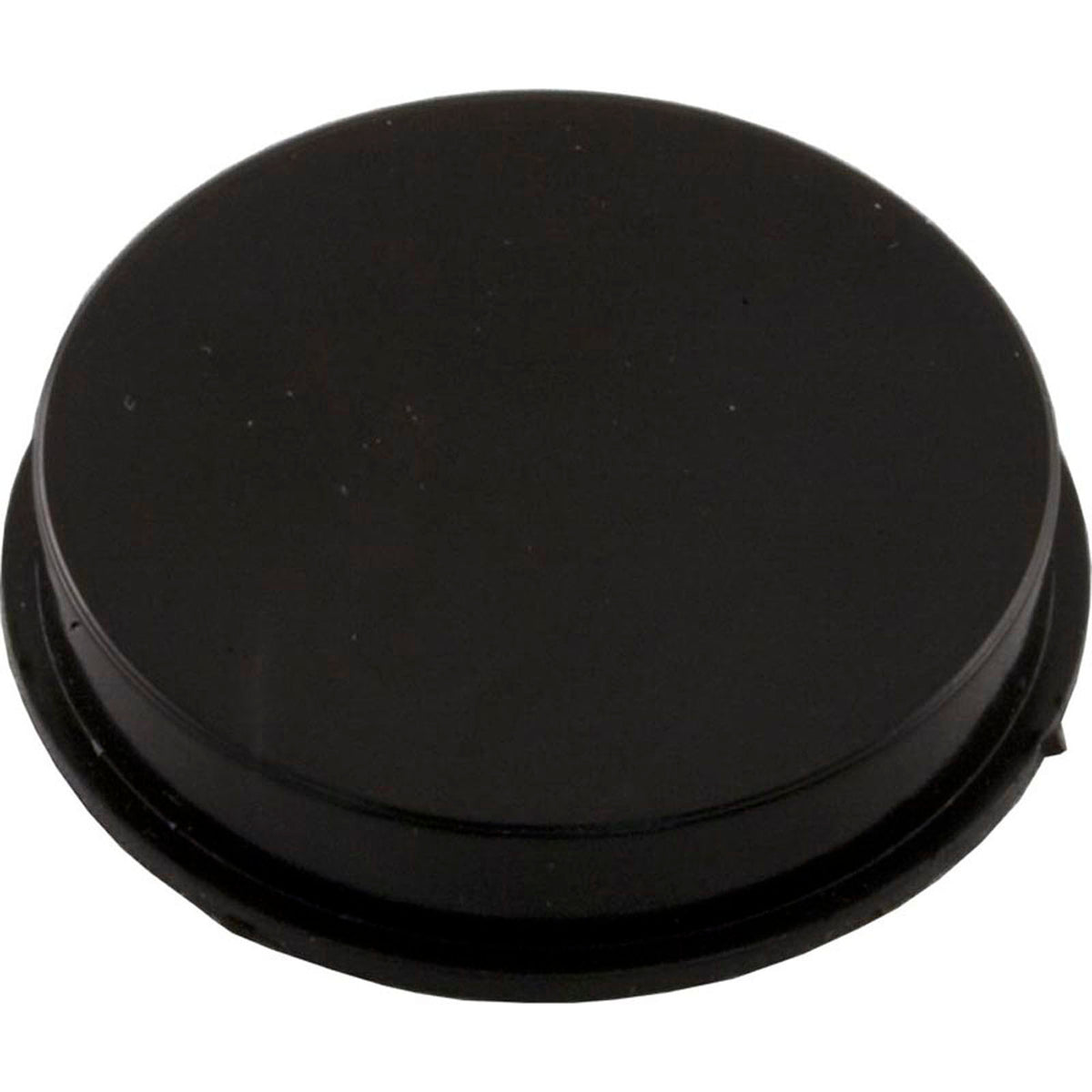 Bypass Plug, Pentair Rainbow RDC/RTL, 1-1/2"