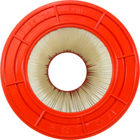 Pentair Clean & Clear (2009+) / Clean & Clear / Predator Replacement Cartridge - 75 Sq Ft (PAP75)