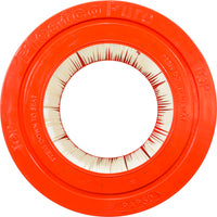 Pentair Clean & Clear / Predator / Clean & Clear (Pre-2009) Replacement Cartridge - 50 Sq Ft (PAP50)