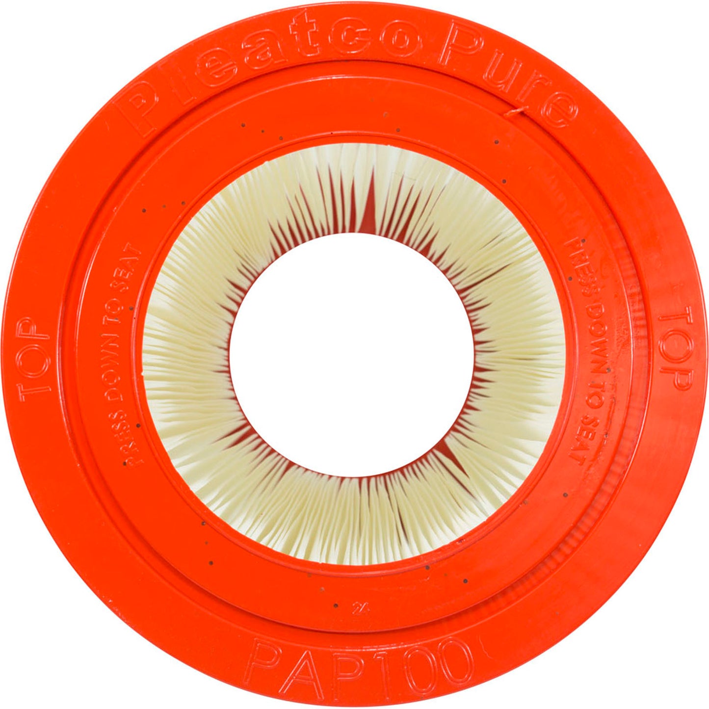 Pentair Posi-Clear RP / Clean & Clear (Pre-2009) Replacement Cartridge - 100 Sq Ft (PAP100)