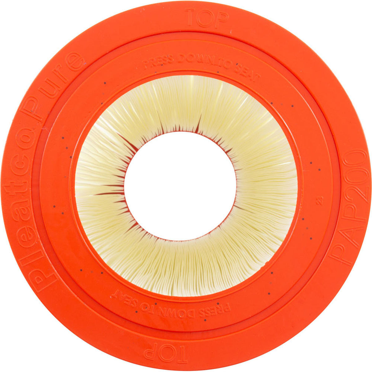 Pentair Clean & Clear (2009+) / Posi-Clear RP Replacement Cartridge - 200 Sq Ft (PAP200)