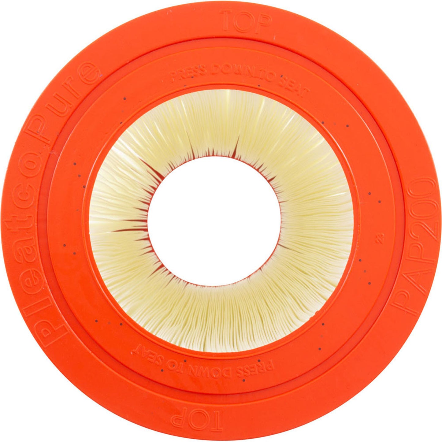 Pentair Clean & Clear (2009+) / Posi-Clear RP Replacement Cartridge - 200 Sq Ft (PAP200)