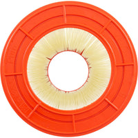 Pentair Clean & Clear (2009+) / Posi-Clear RP Replacement Cartridge - 200 Sq Ft (PAP200)