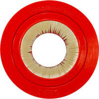 Jacuzzi CFR Replacement Cartridge - 100 Sq Ft (PJ100)