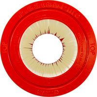 Pentair Clean & Clear / Predator Replacement Cartridge - 125 Sq Ft (PAP118)