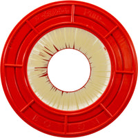 Pentair Clean & Clear / Predator Replacement Cartridge - 125 Sq Ft (PAP118)