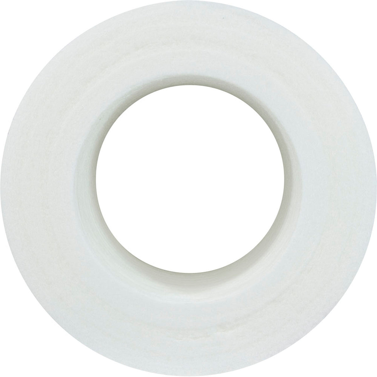 PPS750 Replacement Pool Filter Cartridge