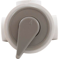 Diverter Valve, WW, 1", 3 Port, Top Mount, Horizontal, Gray