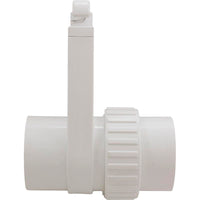 Gate Valve, UniBody, Magic Plastics, 2-1/2" Union x 2-1/2"s