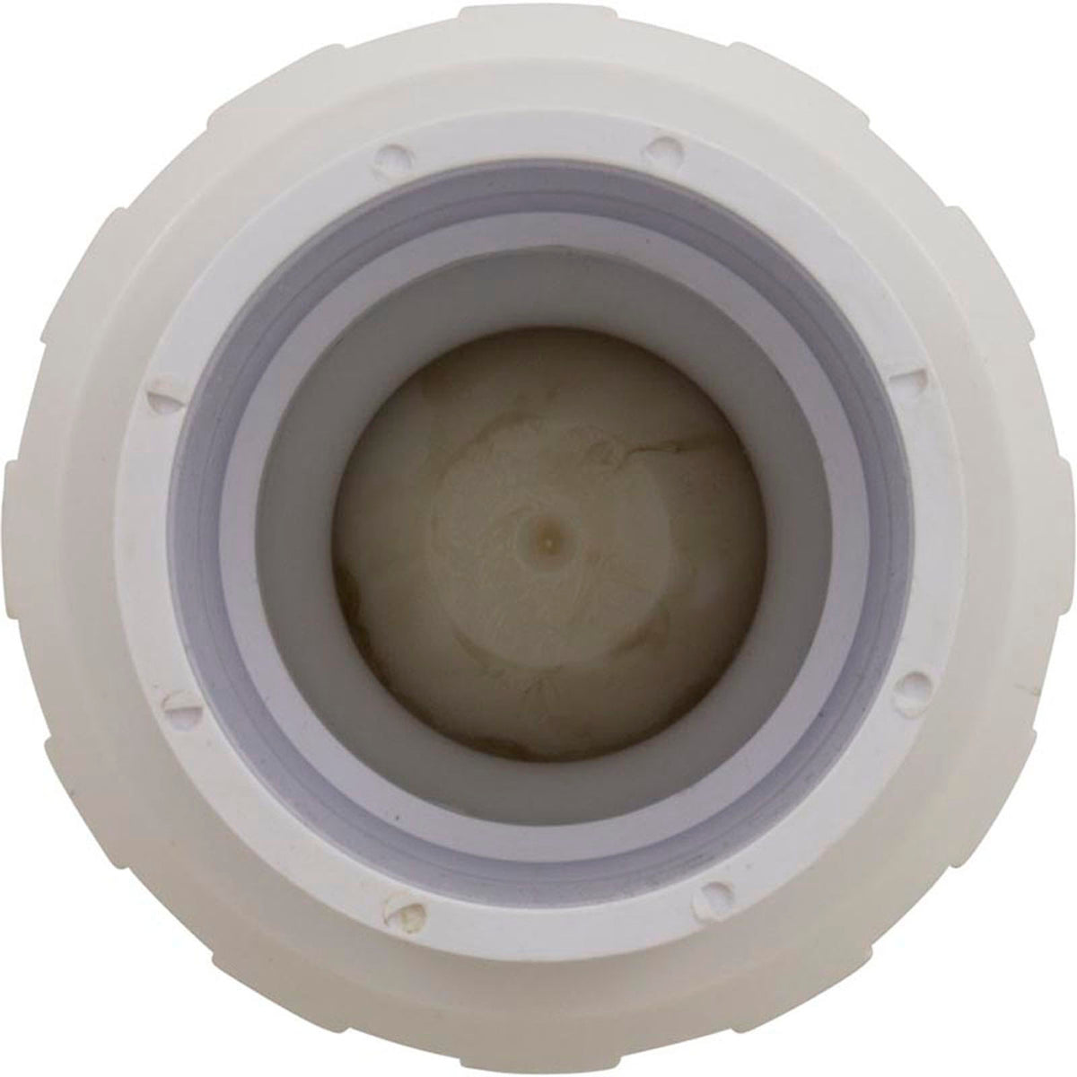 Check Valve, CMP, Spring, 1/4 lb, 1-1/2"s, w/ Union, Air