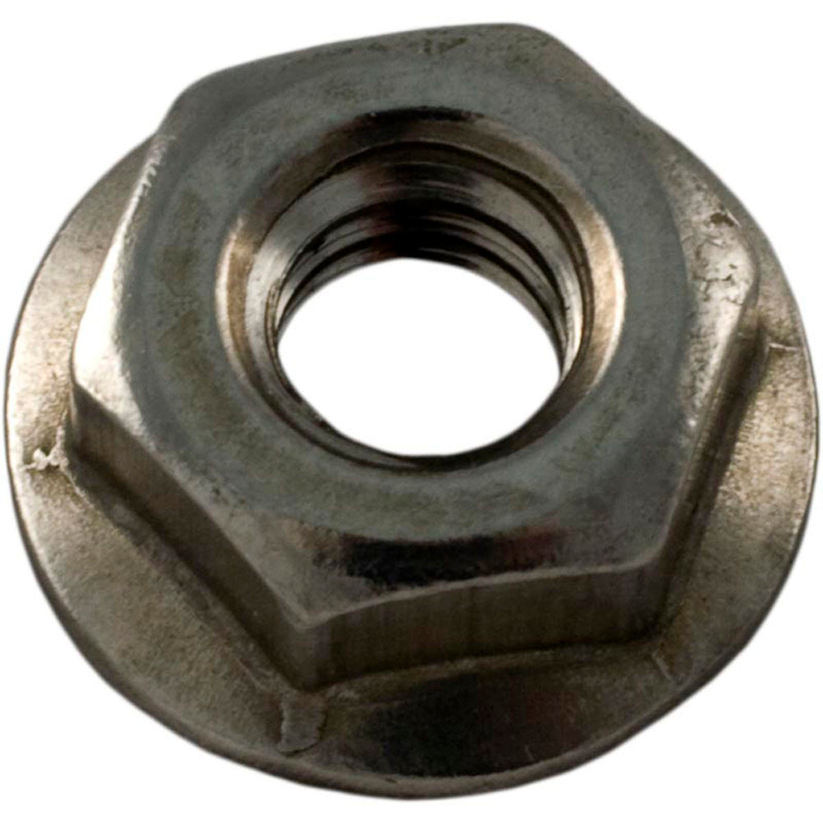Nut, Pentair StaRite 1-1/2" Top/Side Mount Valve, 1/4"-20,SS