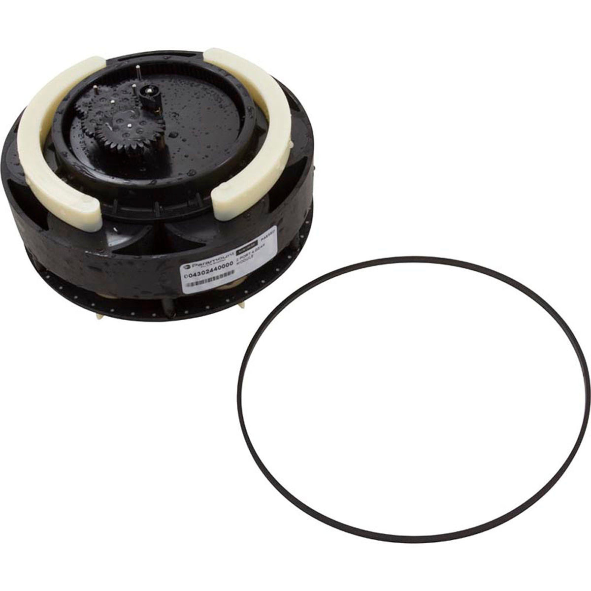 Module, Paramount Water Valve, 2 Port, 4 Gear