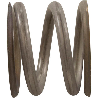 Spring Kit, Astral, Multiport Valve SM, 1-1/2", w/ Washers