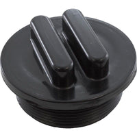 Plug, Praher ABS Side Mount Valves, 2"mpt, Black