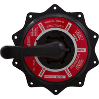Lid Assembly, Praher ABS Top/Side Mount Valves, 2", Blk, 125gpm