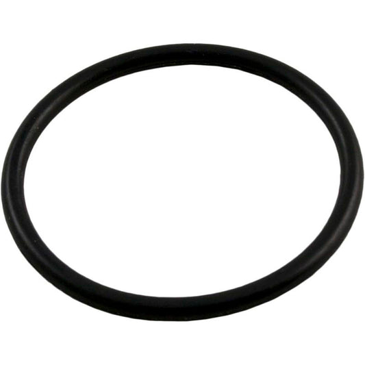 O-Ring, Praher ABS Top Mount Valve, 1-1/2" Standpipe, O-287