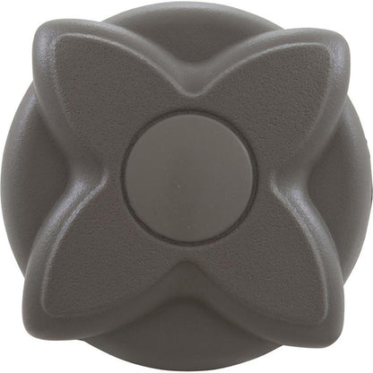 On/Off Valve, Waterway, 2-1/16"hs, 1"s x 1"s, Gray, Star Hndl
