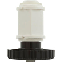 Plunger & Cap Assembly, Waterway, 1" On/Off Valve