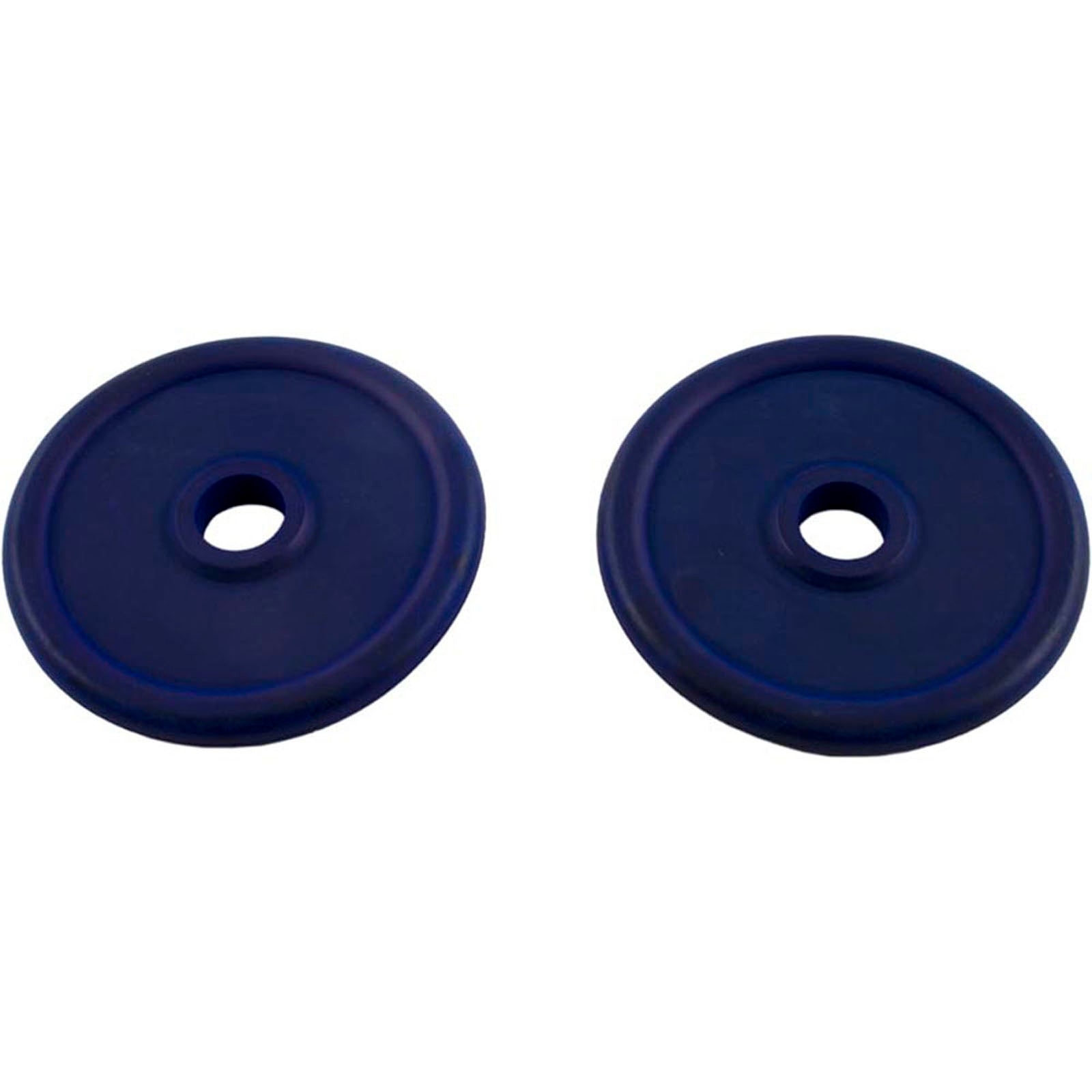 Gasket, Waterway Push/Pull, Piston, 7/16"ID, 2-9/16"OD