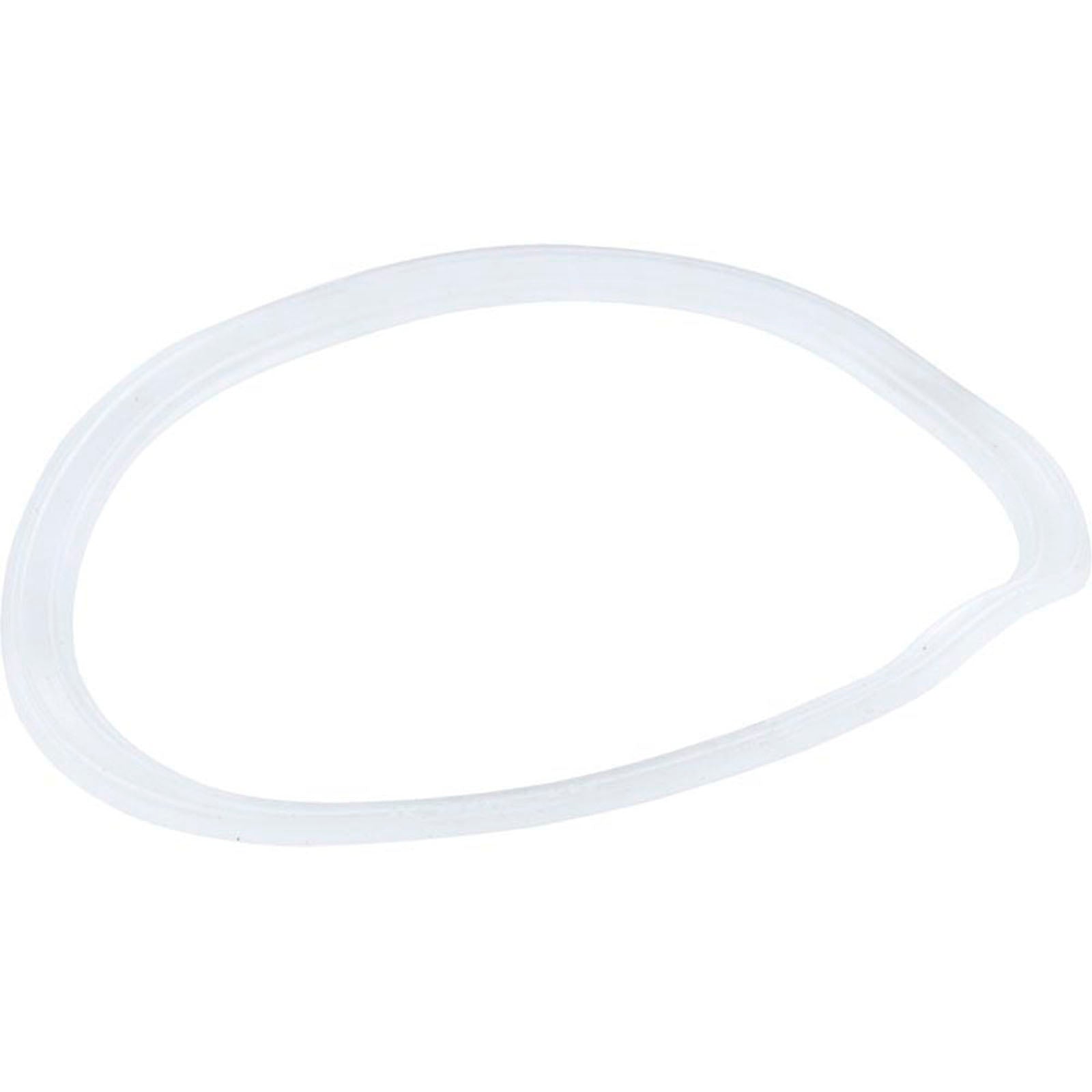 Gasket, WW Top Access Diverter, 3-1/8"ID, 3-9/16"OD