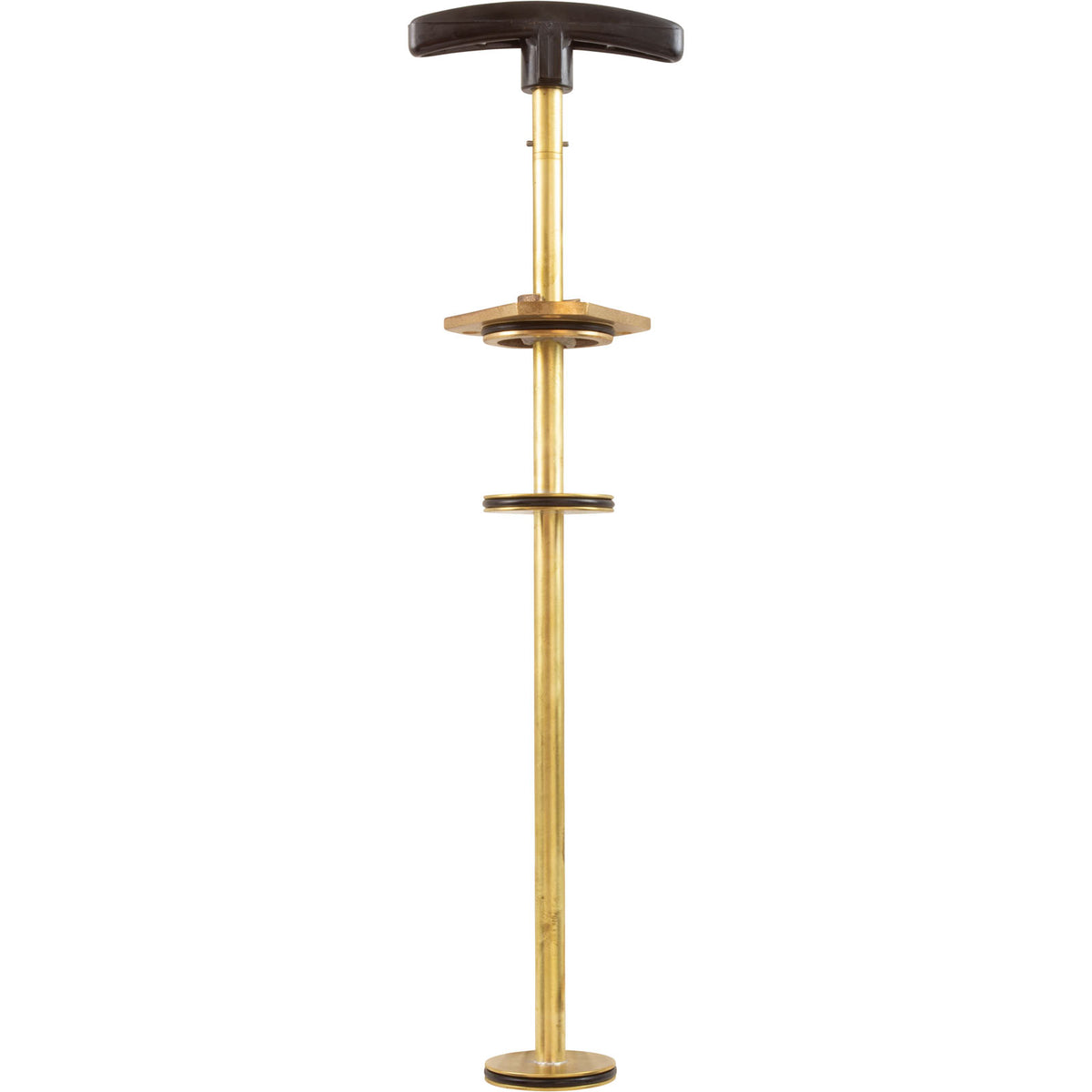 Piston Assembly, Anthony Push/Pull Valve, 2", Brass
