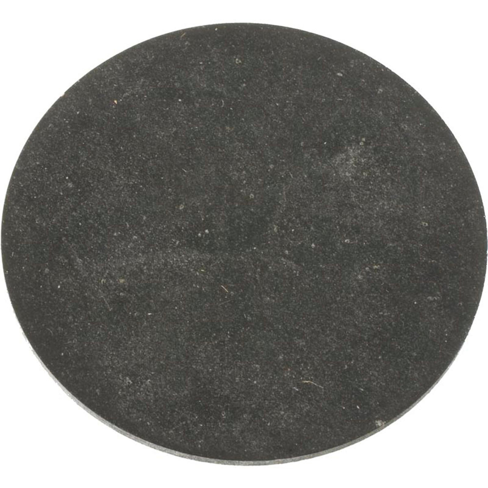 Gasket, Sta-Rite/Pentair CristalFlo II, Drain