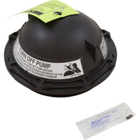 Tapa de tanque Pentair PacFab Triton II, 6", con junta tórica, color negro