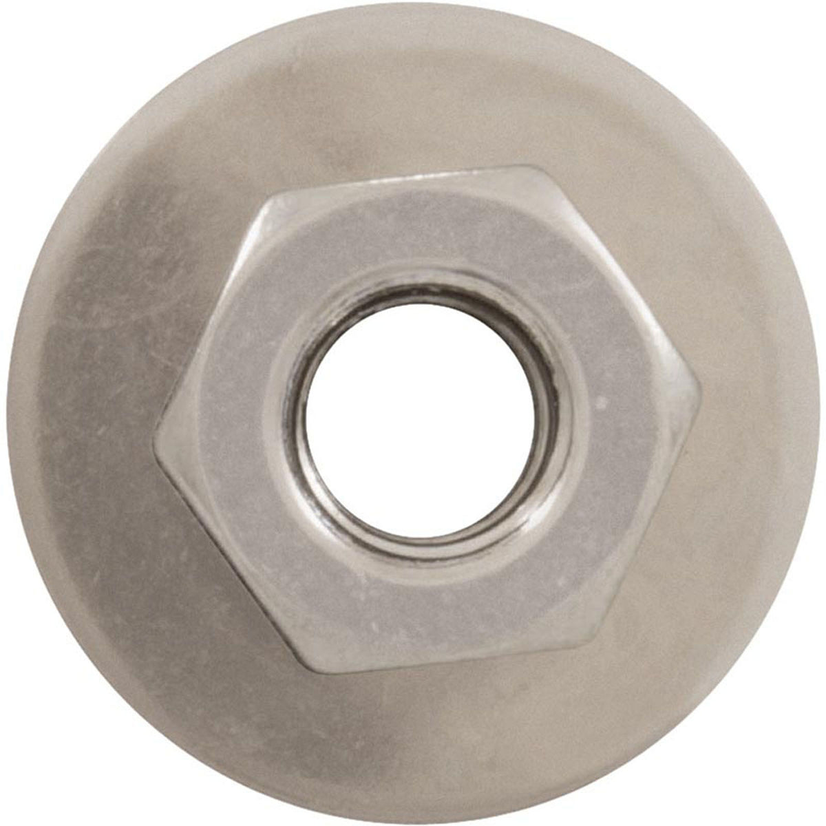 Hex Nut, Hayward S240, with Washer