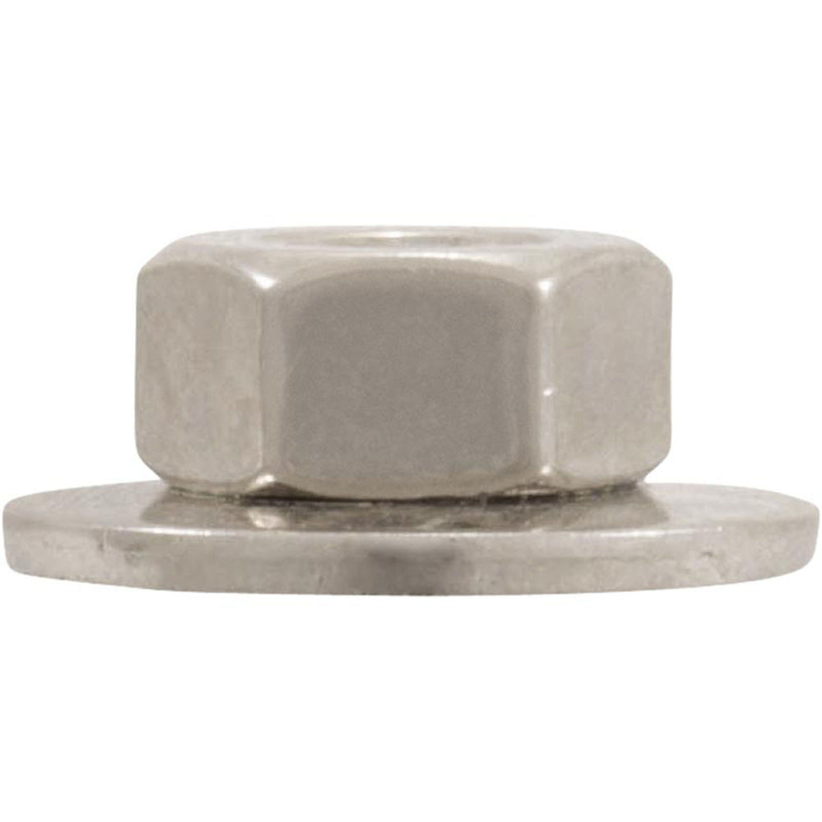 Hex Nut, Hayward S240, with Washer