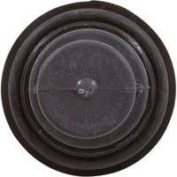 Drain Assembly, Waterway Clearwater/Carefree
