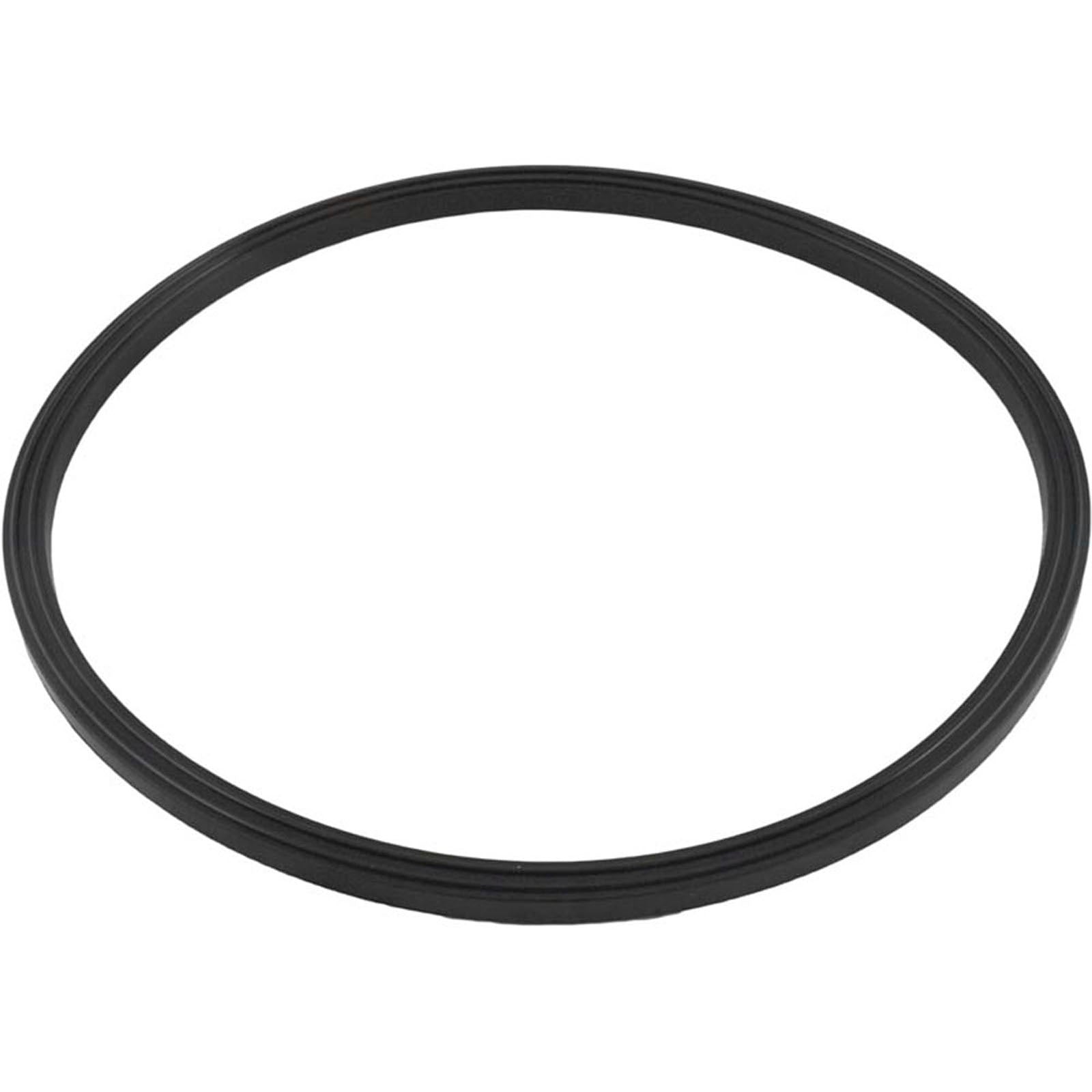Quad Ring, Zodiac Jandy JS100-SM, Tank Lid