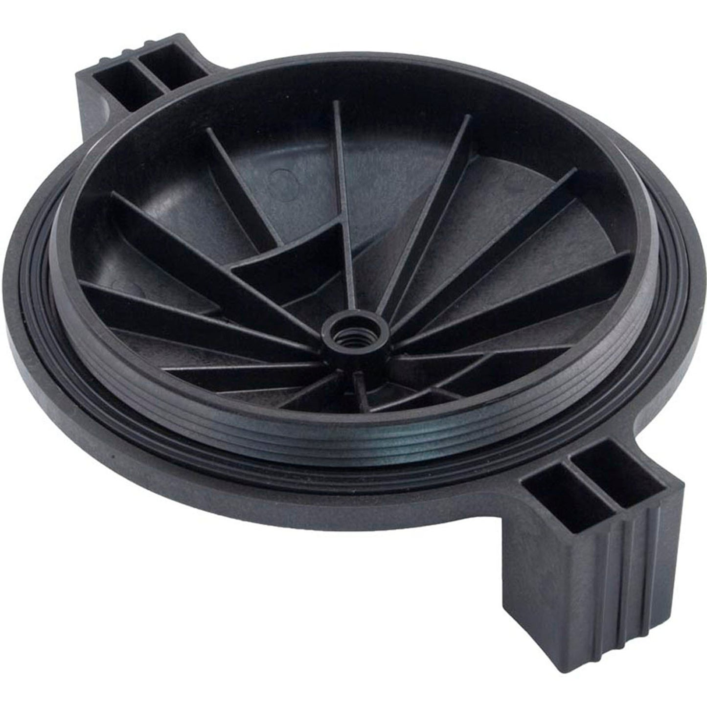 Tank Lid, Zodiac Jandy JS100-SM