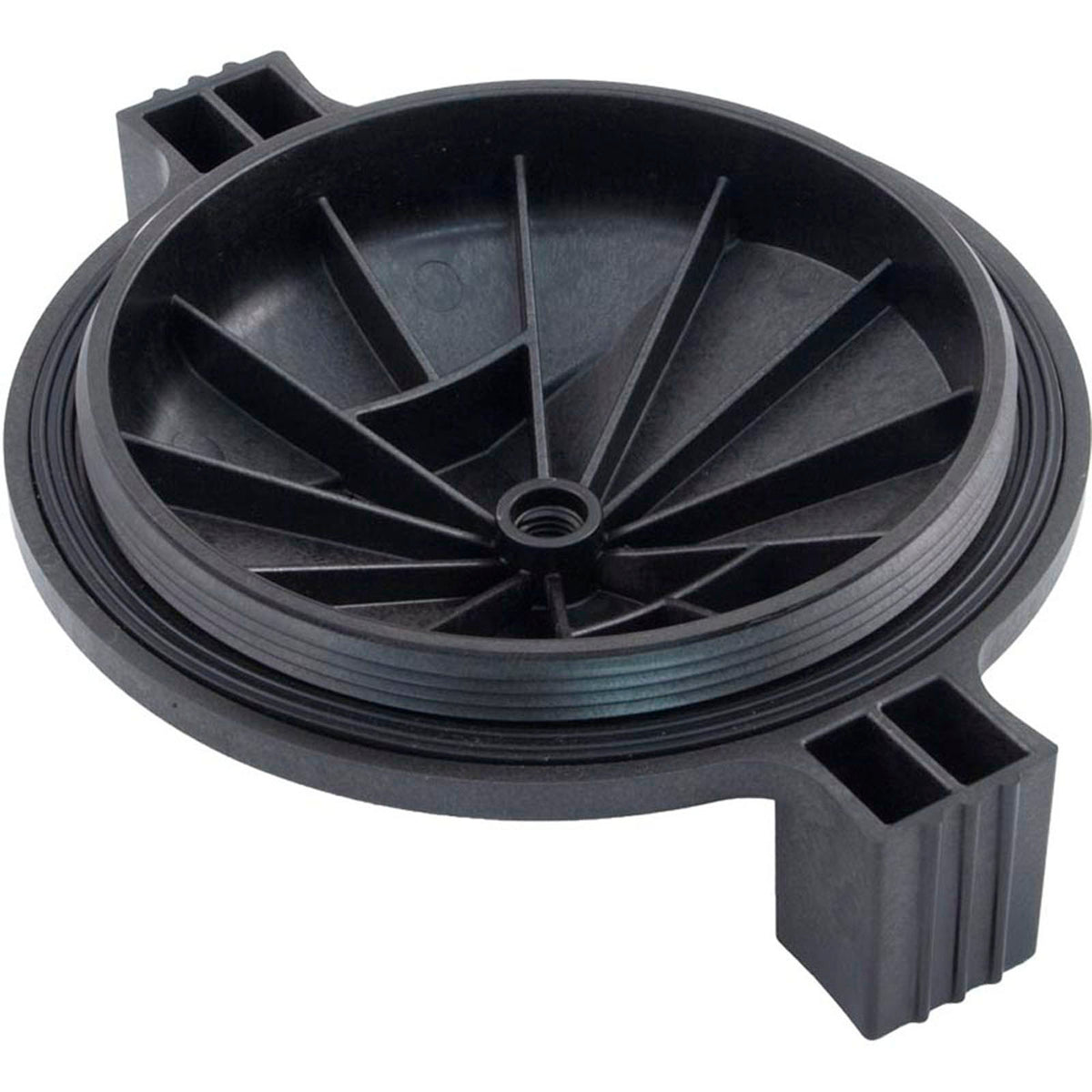 Tank Lid, Zodiac Jandy JS100-SM