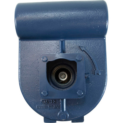 Pompe, Pentair série D, 3,0 ch, 230 V, 1 Ph, tête moyenne, auto-nettoyage