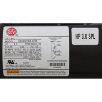 Pump, Sta-Rite/BWG DuraJet DJ, 3.0hp Nidec, 230v, 2-Spd, 2"