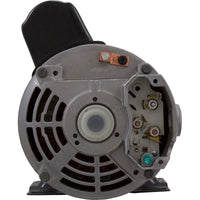 Pump, Sta-Rite/BWG DuraJet DJ, 3.0hp Nidec, 230v, 2-Spd, 2"