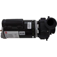 Pump, Sta-Rite/BWG DuraJet DJ, 3.0hp Nidec, 230v, 2-Spd, 2"